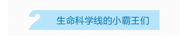 1561082447893641.jpg 高博會(huì)_08.jpg